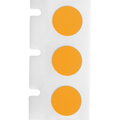 M6-82-499-OR
